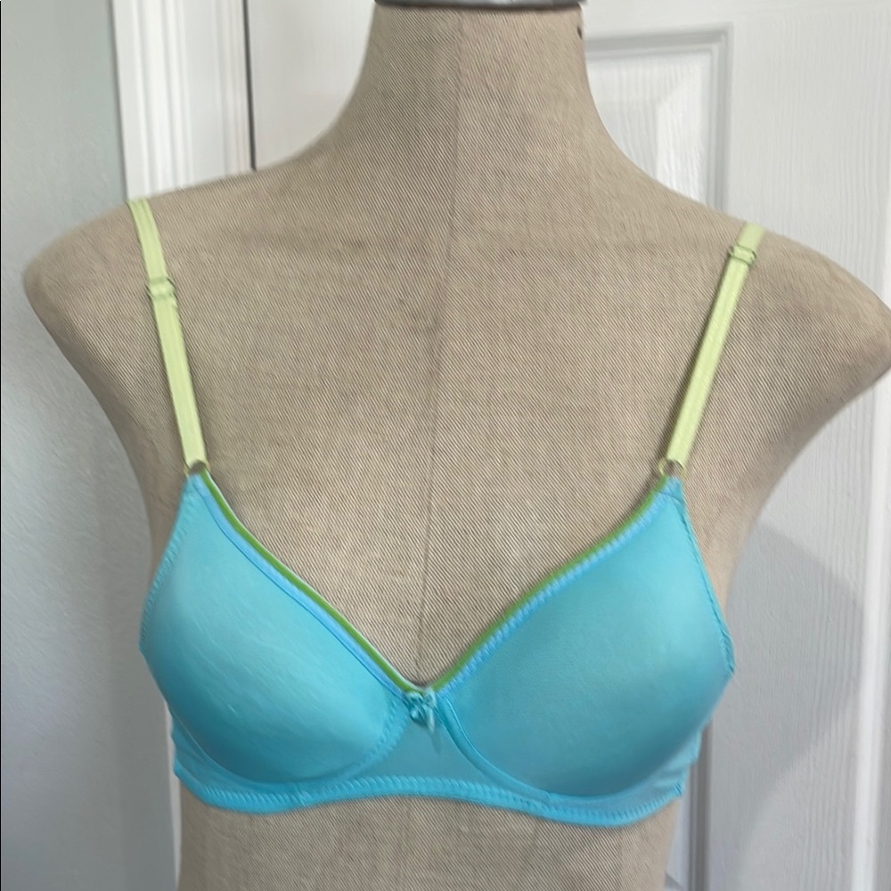 Sweet & Sassy Blue and Green Women's Bra 34A